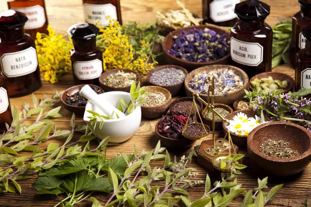 herbs and plants to help your concentration